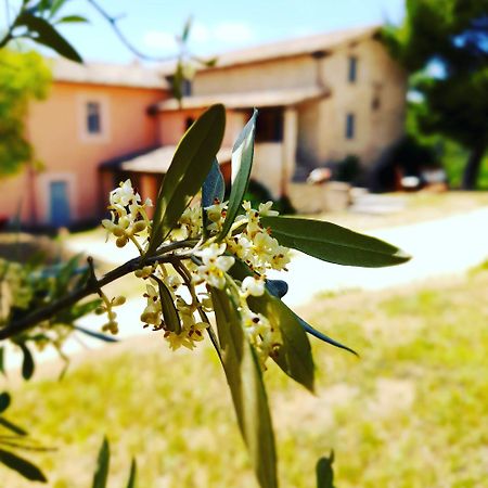 Tenuta San Felice 기아노델움브리아 외부 사진