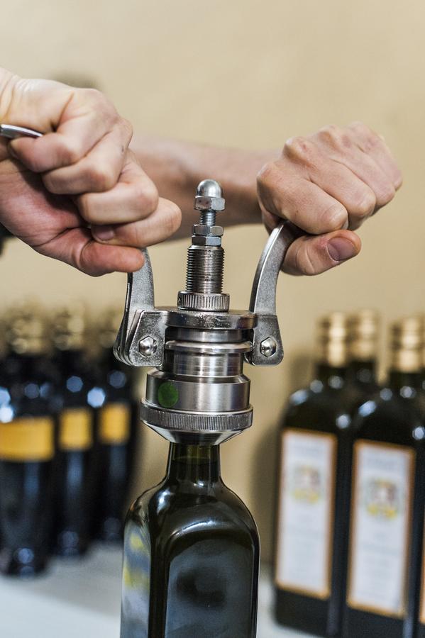 Tenuta San Felice 기아노델움브리아 외부 사진