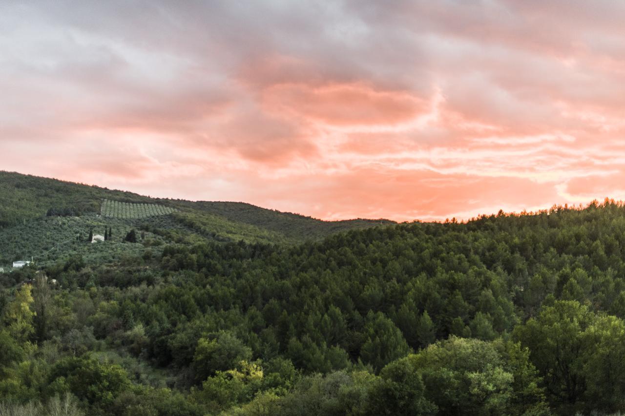 Tenuta San Felice 기아노델움브리아 외부 사진