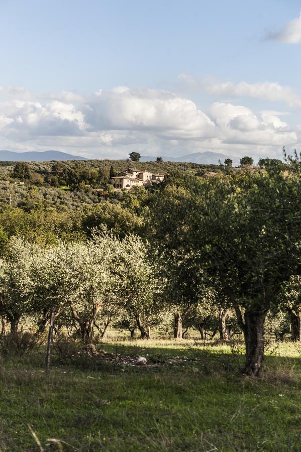 Tenuta San Felice 기아노델움브리아 외부 사진