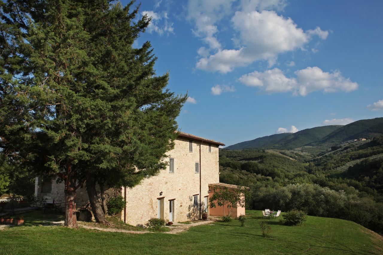 Tenuta San Felice 기아노델움브리아 외부 사진